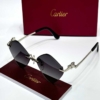 Cartier Sunglass