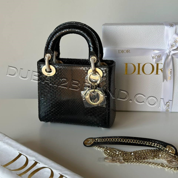 photo_18_2024-10-22_01-29-42