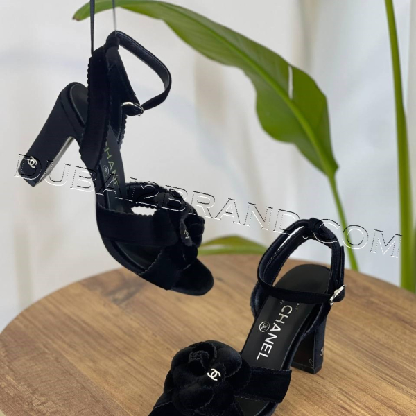 photo_1_2024-10-28_11-02-48