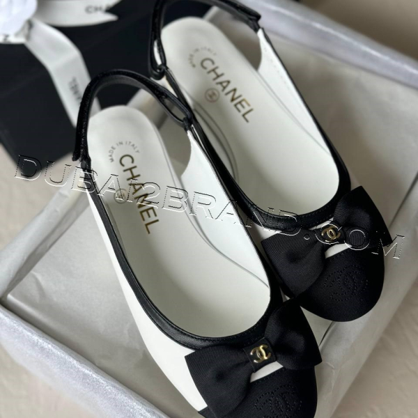 photo_20_2024-10-27_14-59-35