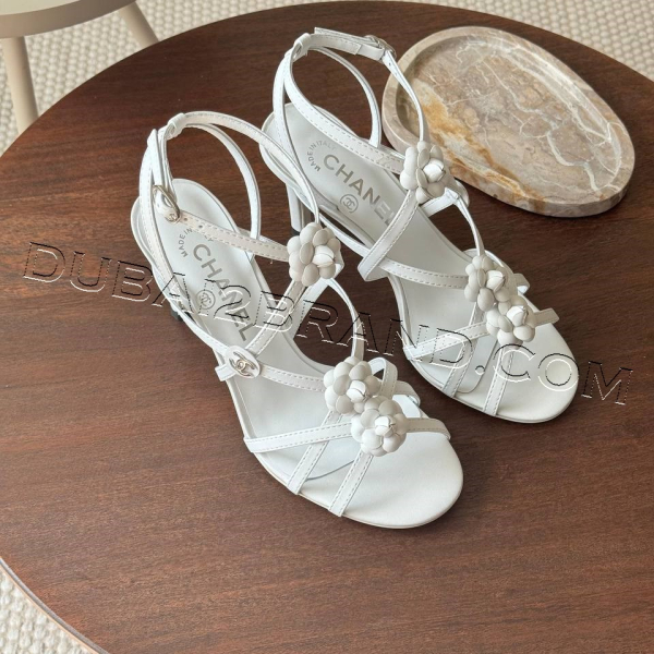 photo_22_2024-10-27_14-34-18