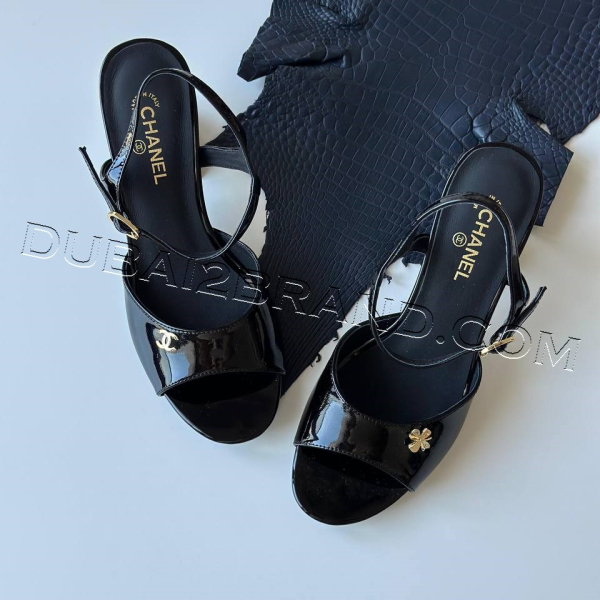 photo_29_2024-10-28_11-02-48