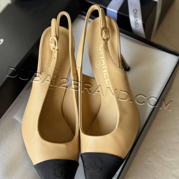 photo_5_2024-10-27_14-59-35