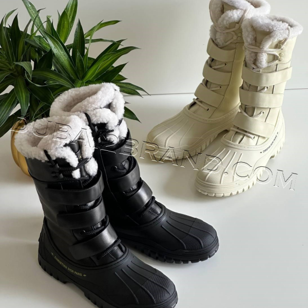 photo_14_2024-11-07_12-34-41