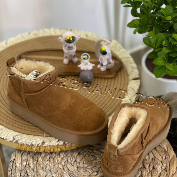 photo_27_2024-11-20_00-12-11