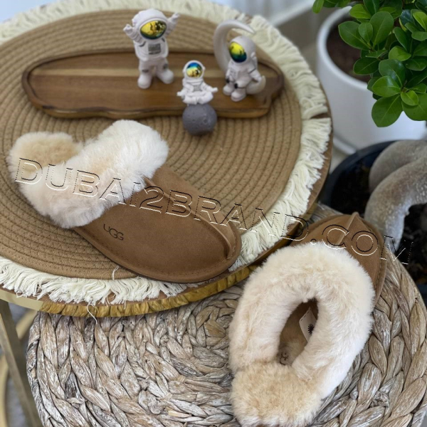 photo_29_2024-11-20_00-12-11