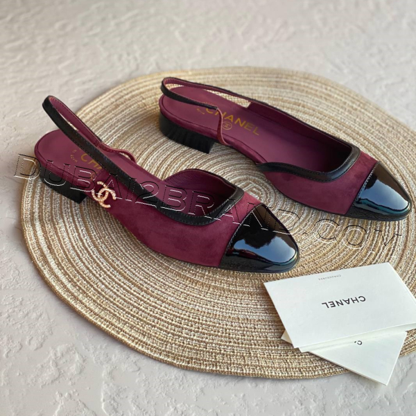 photo_38_2024-11-02_21-17-53