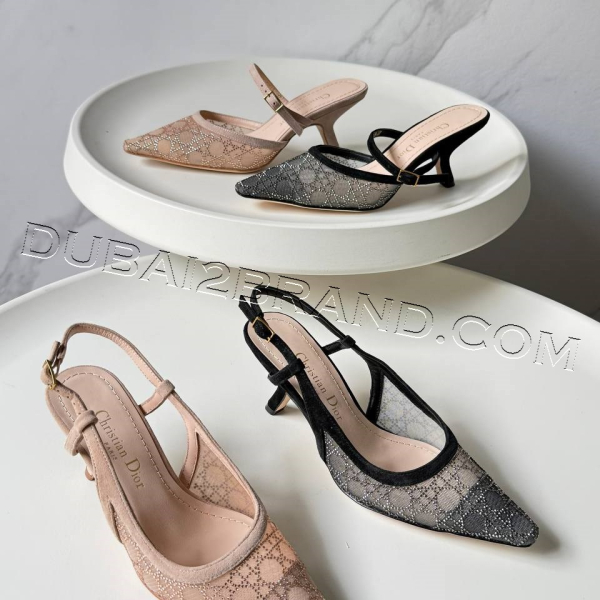 photo_2_2025-02-01_14-36-41