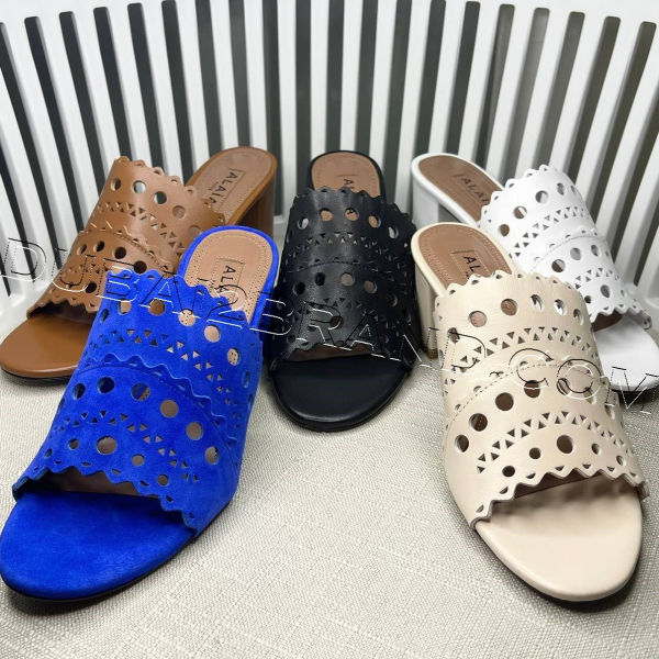 photo_21_2025-08-21_01-49-31