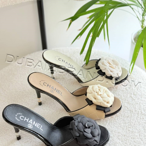 photo_42_2025-08-27_12-58-01